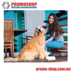 PET005 PLATO MEALTIME - foto 1