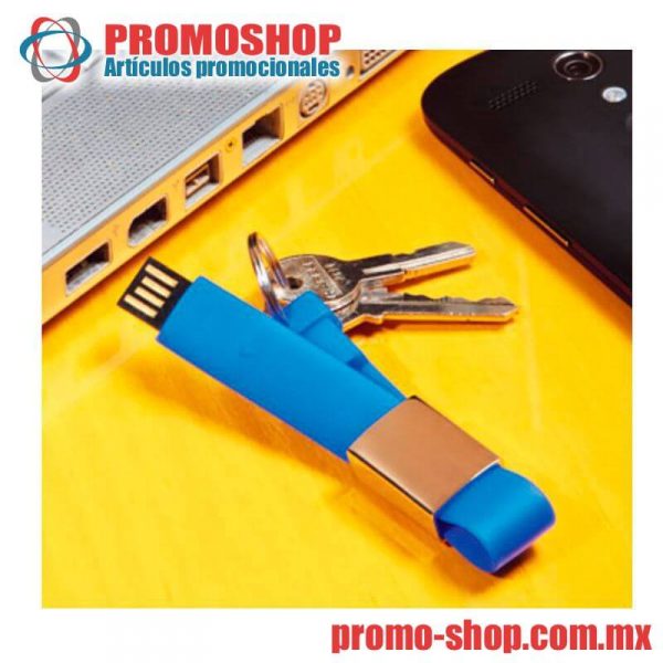 USB025 USB MORAY - foto 1