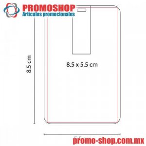 USB137 USB TARJETA AUSTEN 8 GB - foto 1